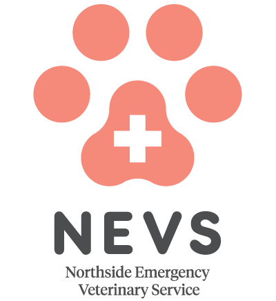 NEVS-logo