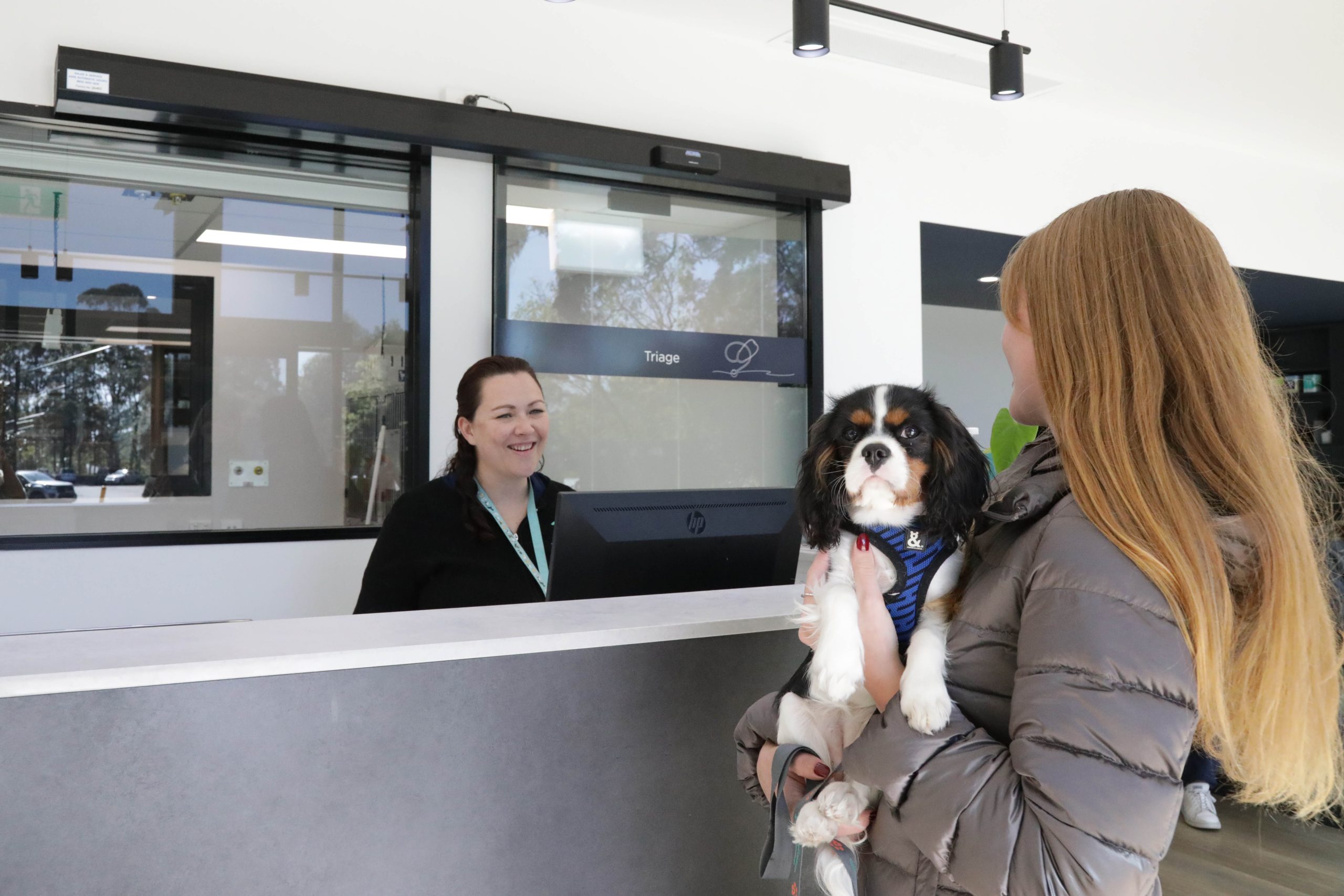 Client services and concierge at The Pet Specialists
