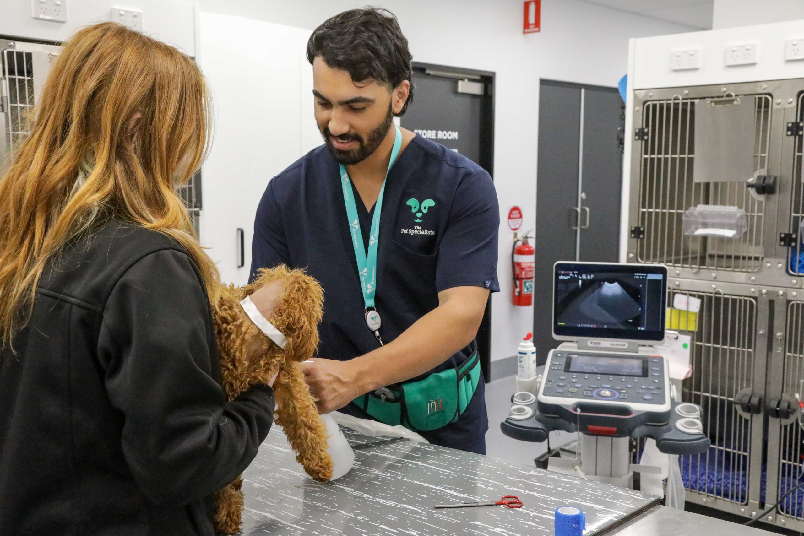 Treatment area at The Pet Specialists