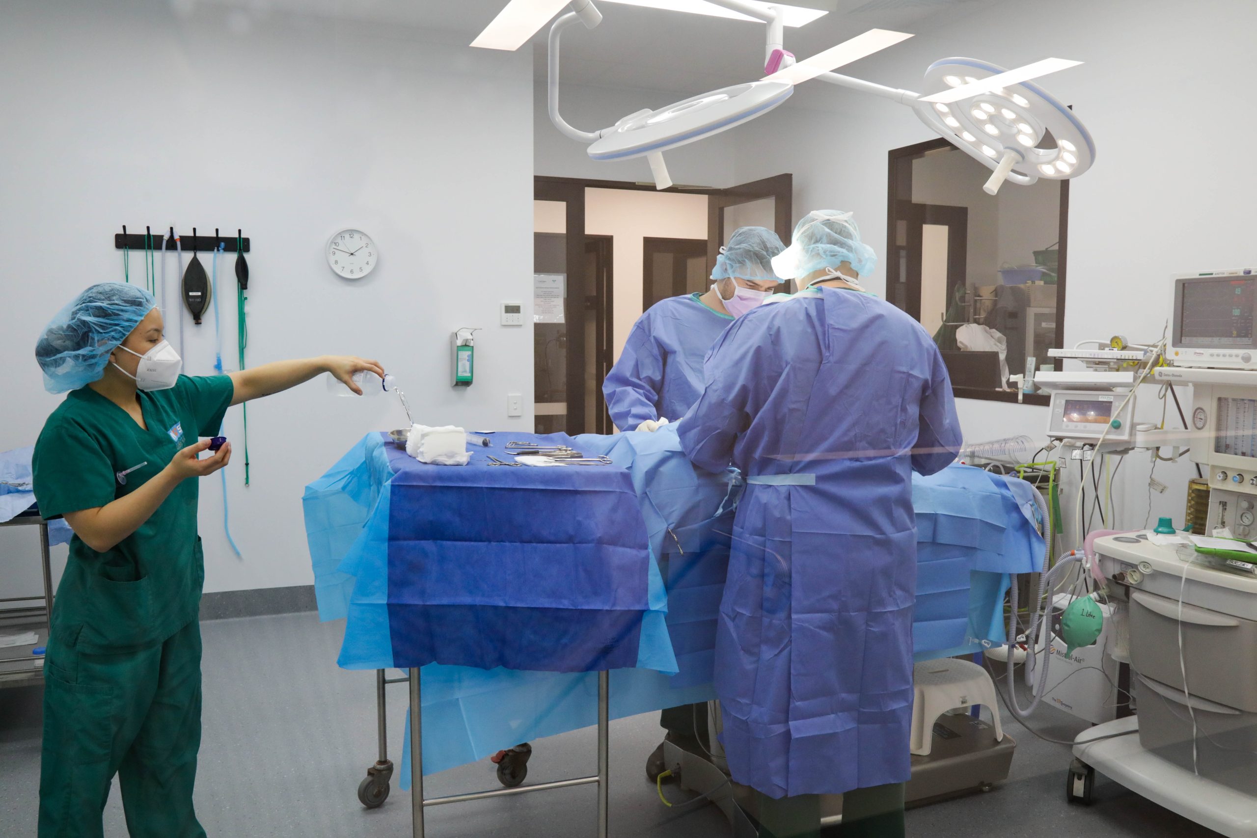 The Theatre at The Pet Specialists Inside the Theatre at The Pet Specialists