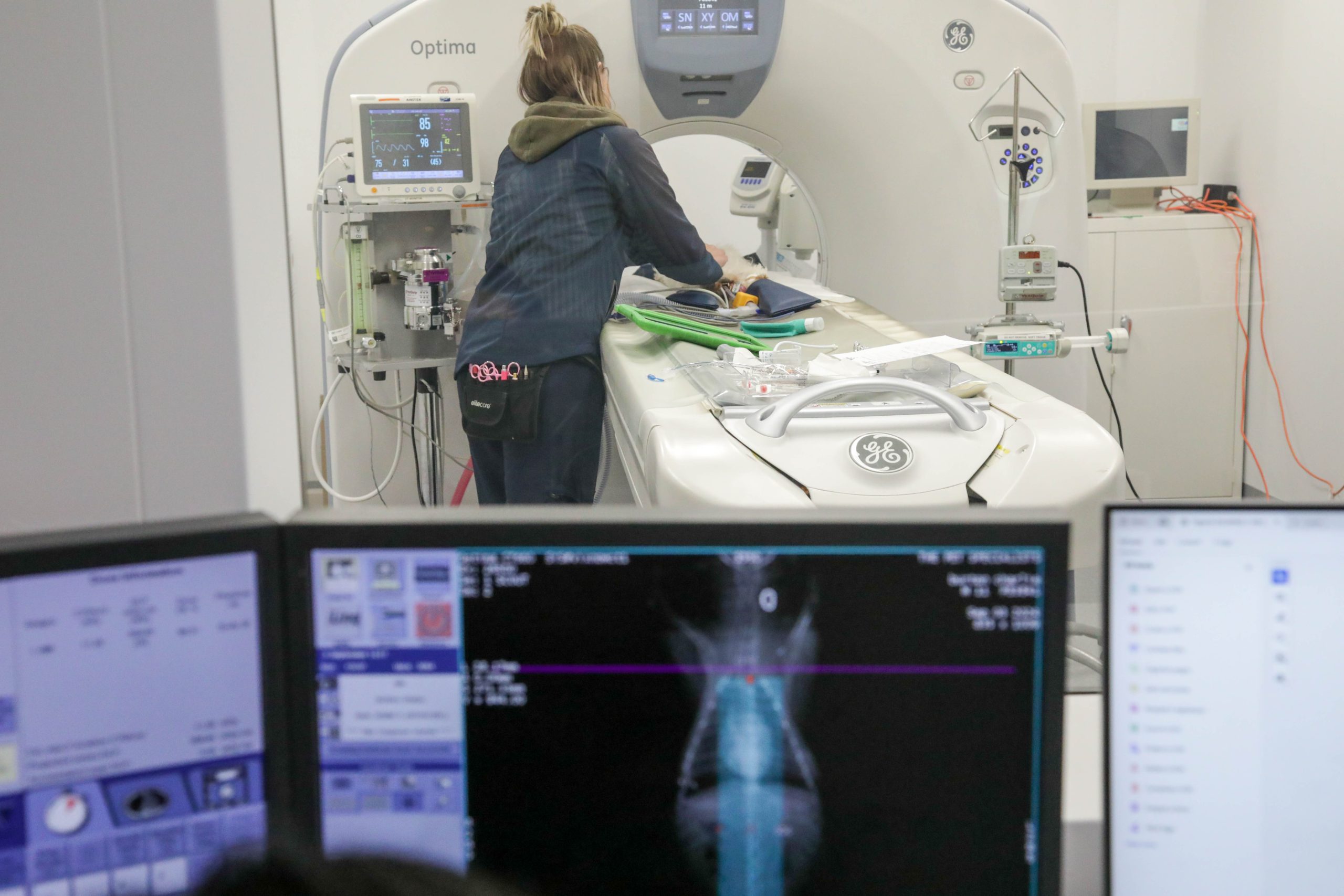 Diagnostic Imaging at The Pet Specialists Diagnostic Imaging at The Pet Specialists