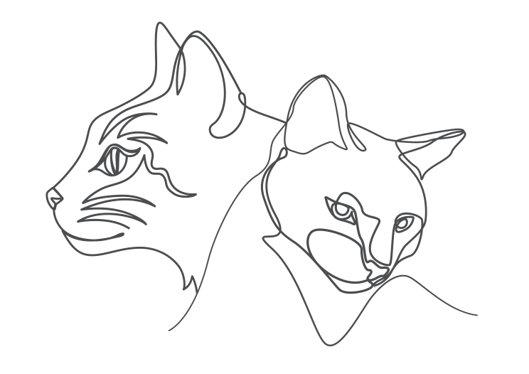 Cat - 2 Heads c Cat Head - The Pet Specialists