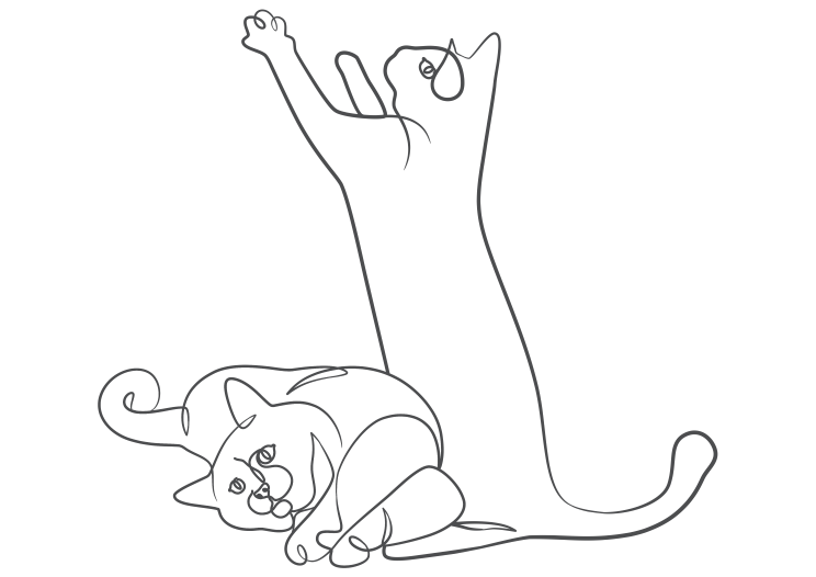 Cat - Laying & Climbing c Physical Therapy for Pets