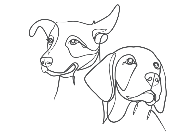 Dog - 2 Heads v2 c Dog - The Pet Specialists