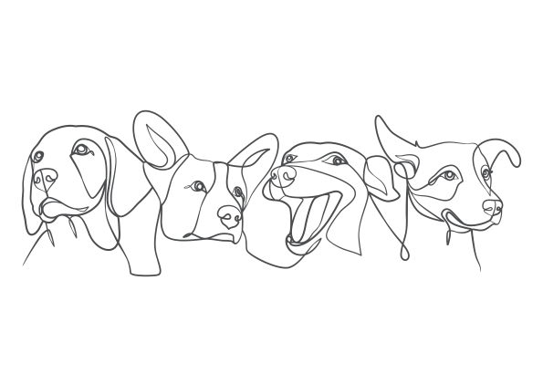 Dog - 4 Heads c Veterinary Dermatology Clinic for Pets