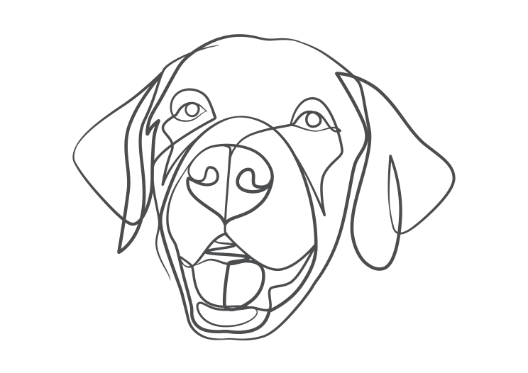 Dog - Face c Dog - The Pet Specialists