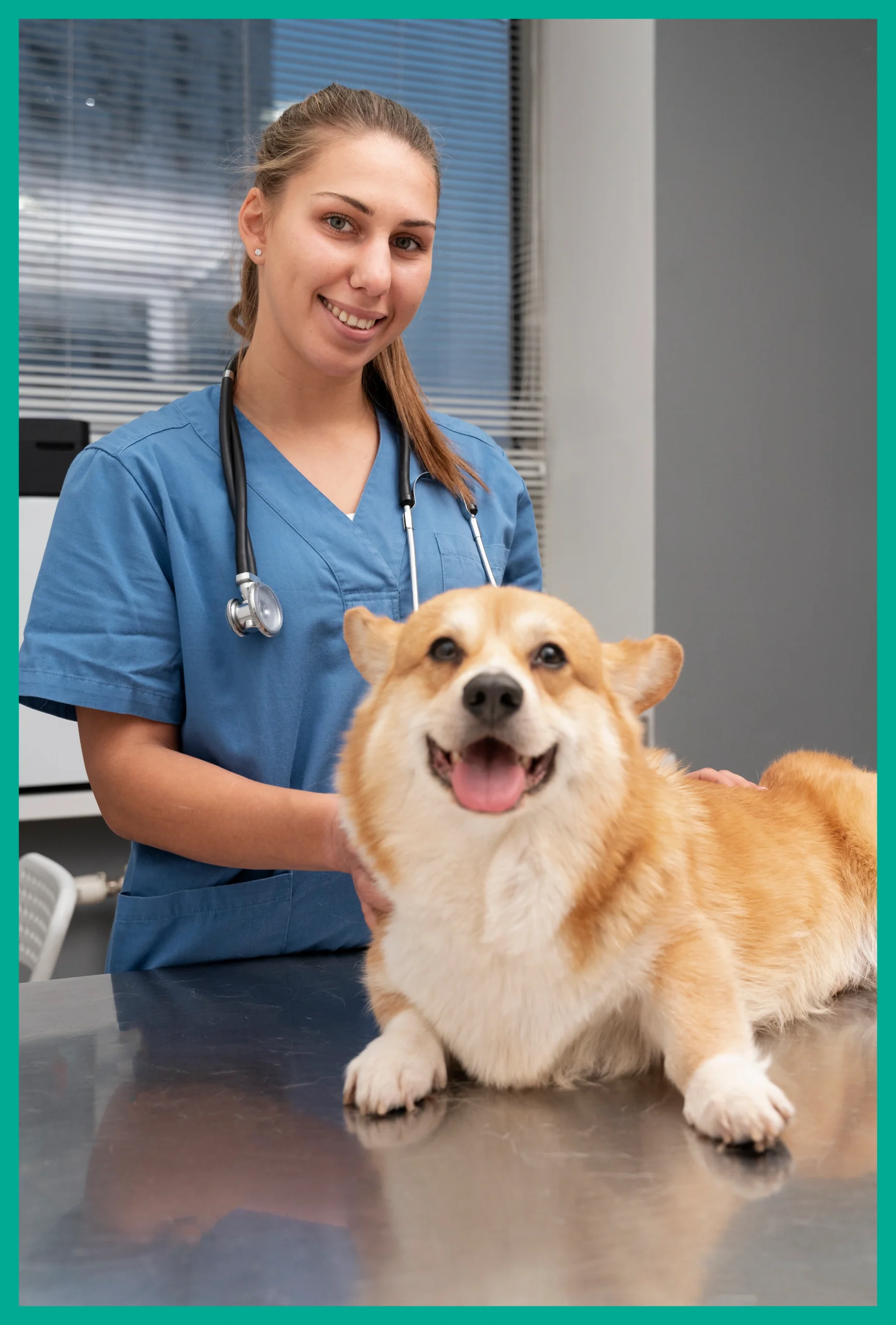 Friendly veterinarian in scrubs and a smiling Corgi dog lying on an examination table at the veterinary clinic.