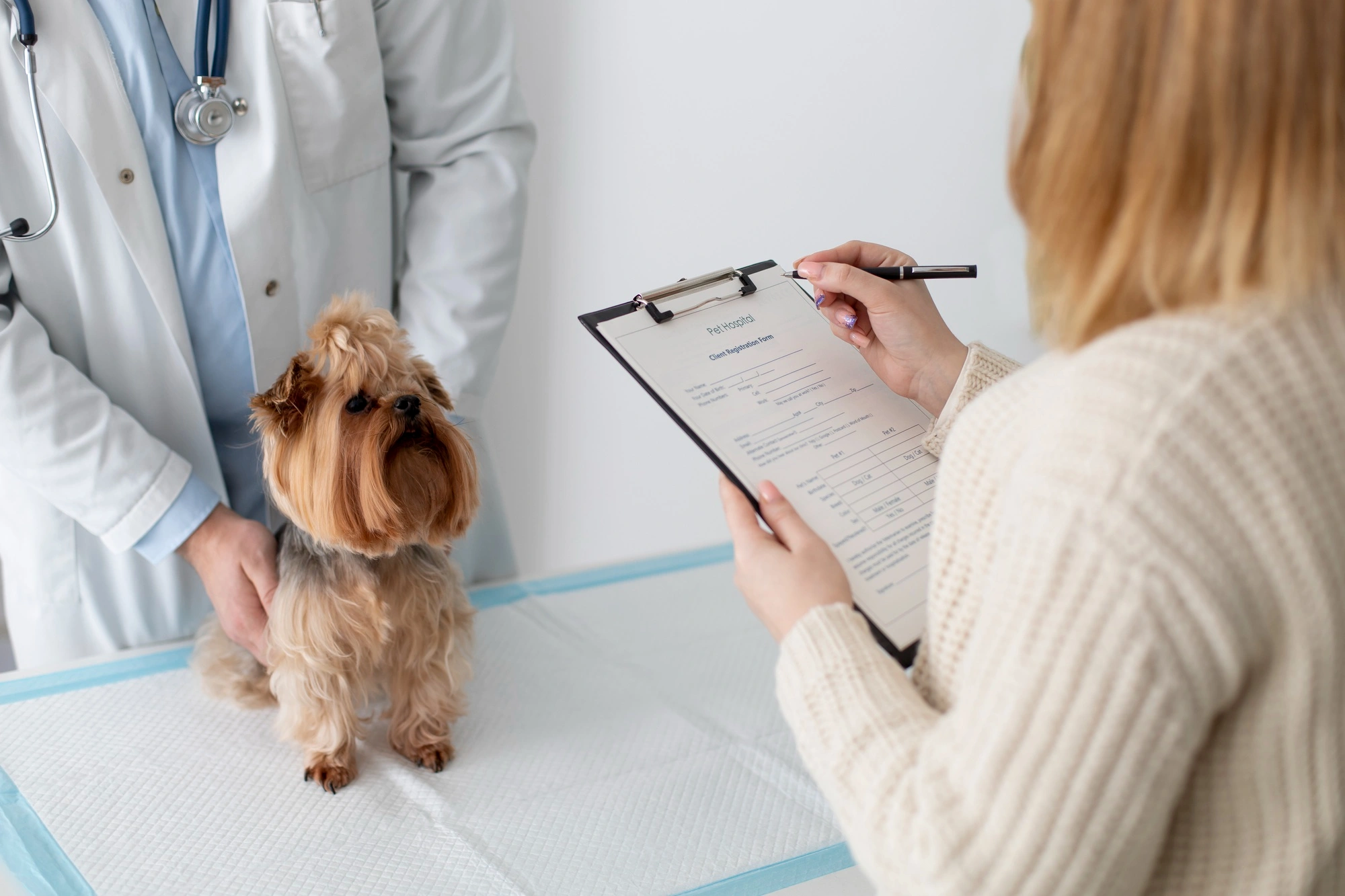 Veterinarian holding a small Yorkshire terrier while a pet owner fills out registration forms at a clinic or animal hospital.